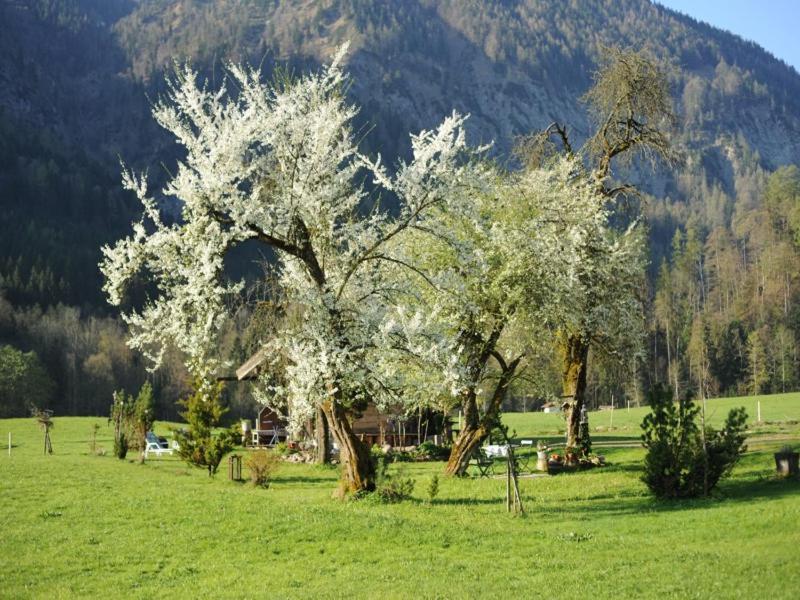 Hansenbauernhof Inkl. Chiemgaukarte 鲁波尔丁 外观 照片